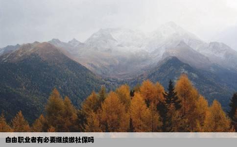 自由职业者有必要继续缴社保吗