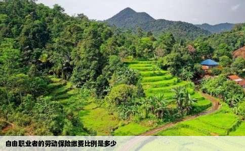 自由职业者的劳动保险缴费比例是多少