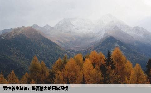 男性养生秘诀：提高精力的日常习惯
