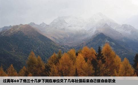 过两年60了他三十几岁下岗在单位交了几年社保后来自己做自由职业