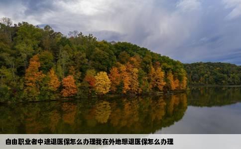 自由职业者中途退医保怎么办理我在外地想退医保怎么办理