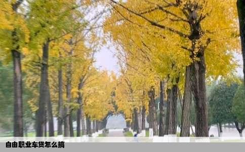 自由职业车贷怎么搞