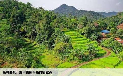 探寻商机：城市更新带来的创业点