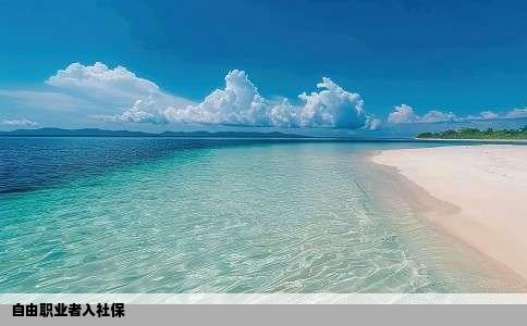 自由职业者入社保