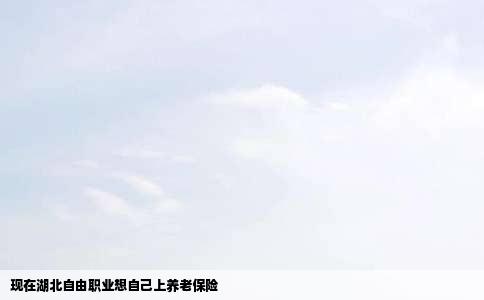 现在湖北自由职业想自己上养老保险