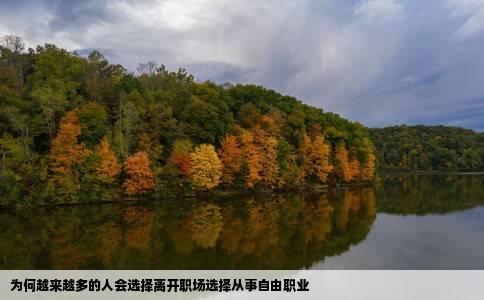 为何越来越多的人会选择离开职场选择从事自由职业