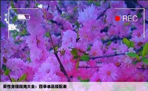 男性穿搭指南大全：四季单品搭配表