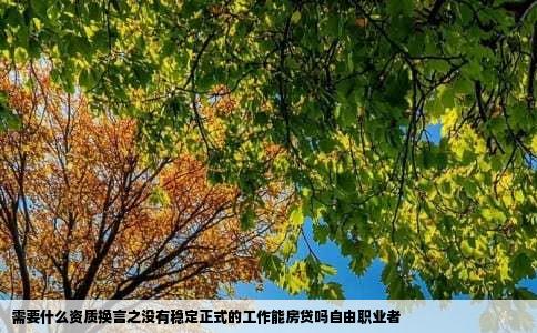 需要什么资质换言之没有稳定正式的工作能房贷吗自由职业者