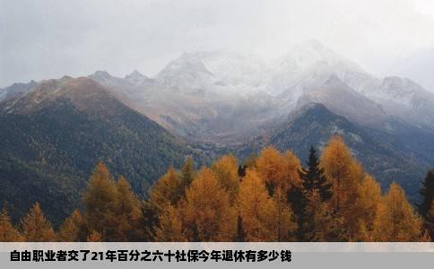 自由职业者交了21年百分之六十社保今年退休有多少钱