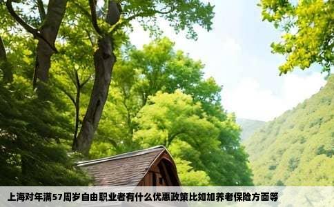 上海对年满57周岁自由职业者有什么优惠政策比如加养老保险方面等