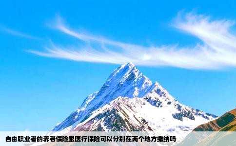 自由职业者的养老保险跟医疗保险可以分别在两个地方缴纳吗