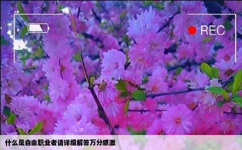 什么是自由职业者请详细解答万分感激