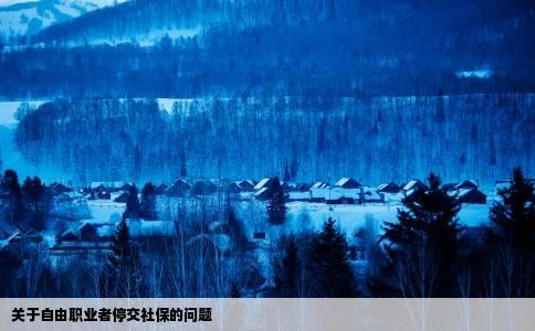 关于自由职业者停交社保的问题