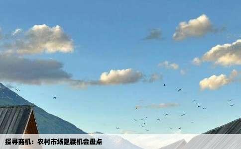 探寻商机：农村市场隐藏机会盘点