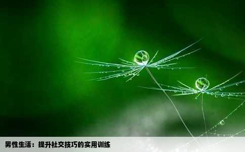 男性生活：提升社交技巧的实用训练