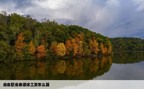 自由职业者退休工资怎么算