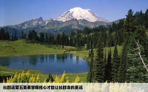 社群运营五要素掌握核心才能让社群走的更远