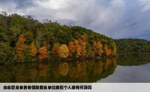 自由职业者养老保险费由单位缴和个人缴有何异同