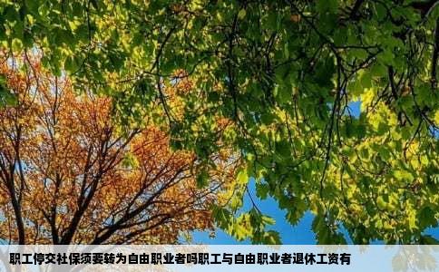 职工停交社保须要转为自由职业者吗职工与自由职业者退休工资有