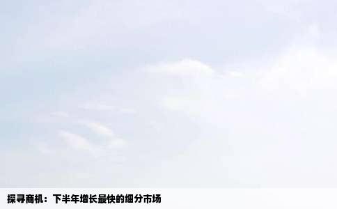 探寻商机：下半年增长最快的细分市场