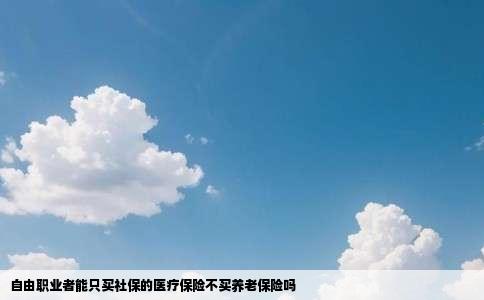 自由职业者能只买社保的医疗保险不买养老保险吗