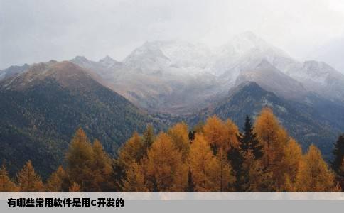 有哪些常用软件是用C开发的