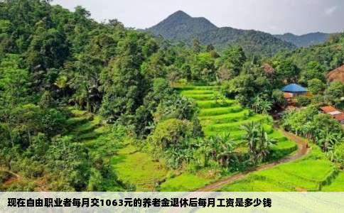 现在自由职业者每月交1063元的养老金退休后每月工资是多少钱