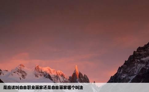是应该叫自由职业画家还是自由画家哪个叫法