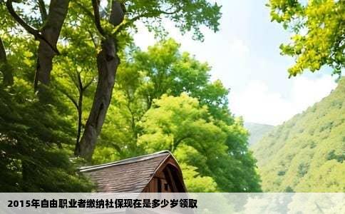 2015年自由职业者缴纳社保现在是多少岁领取