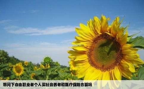 想问下自由职业者个人买社会养老和医疗保险合算吗