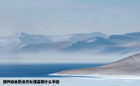 郑州自由职业交社保需要什么手续