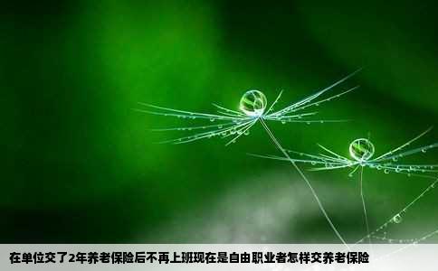 在单位交了2年养老保险后不再上班现在是自由职业者怎样交养老保险