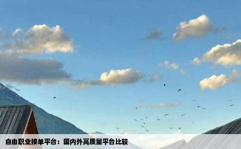 自由职业接单平台：国内外高质量平台比较