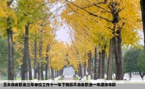 王女自由职业三年单位工作十一年下岗后又自由职业一年退休年龄
