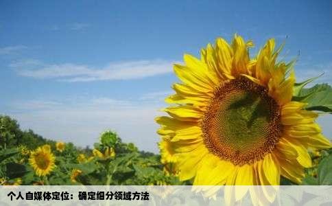 个人自媒体定位：确定细分领域方法