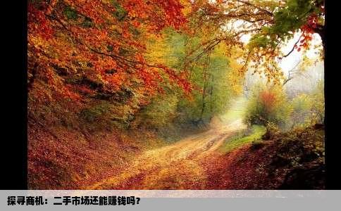探寻商机：二手市场还能赚钱吗？
