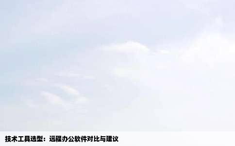 技术工具选型：远程办公软件对比与建议