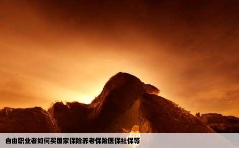 自由职业者如何买国家保险养老保险医保社保等