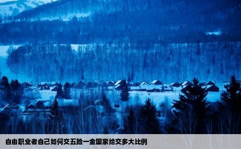 自由职业者自己如何交五险一金国家给交多大比例