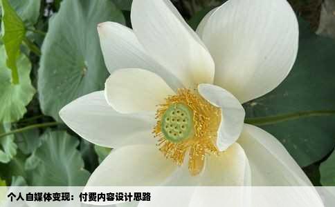 个人自媒体变现：付费内容设计思路