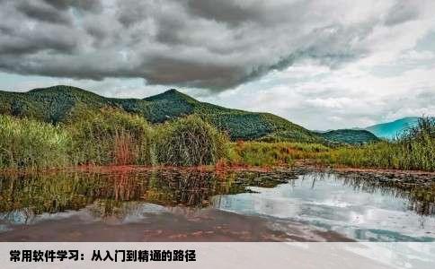 常用软件学习：从入门到精通的路径