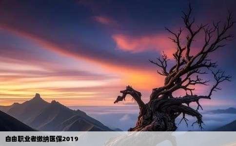 自由职业者缴纳医保2019
