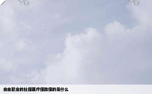 自由职业的社保医疗保险保的是什么