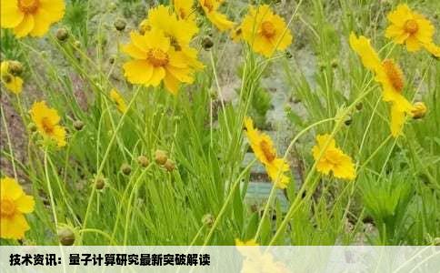 技术资讯：量子计算研究最新突破解读