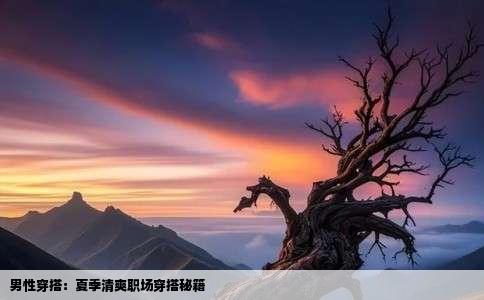 男性穿搭：夏季清爽职场穿搭秘籍