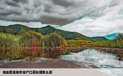 自由职业非农业户口买社保怎么买