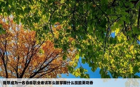 我想成为一名自由职业者该怎么做掌握什么技能更吃香