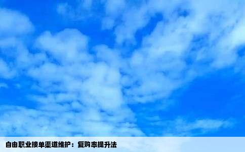 自由职业接单渠道维护：复购率提升法