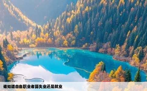 谁知道自由职业者算失业还是就业