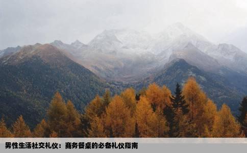 男性生活社交礼仪：商务餐桌的必备礼仪指南